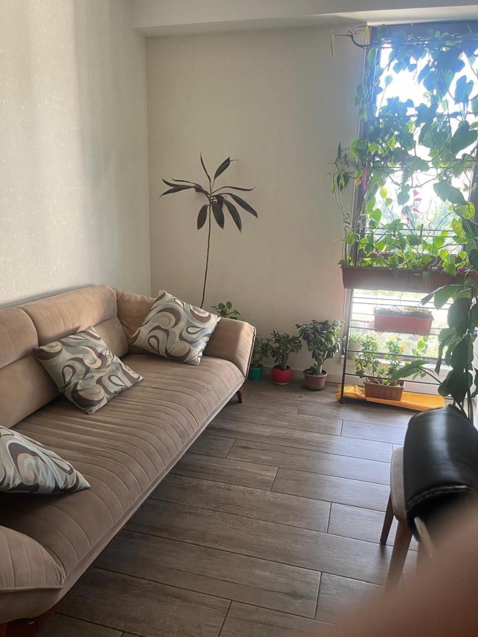 Panorama Khiliani Apartment Tbilisi ภายนอก รูปภาพ